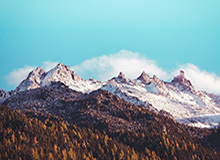 Kaiyun sport-连续两年被洛城双雄挖走主力 猛龙依然拒绝沉沦！