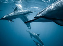 Kaiyun sport-【独家专访】朱松玮:你所不知道的汕大杜兰特